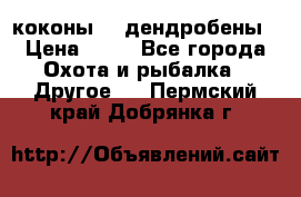 коконы    дендробены › Цена ­ 25 - Все города Охота и рыбалка » Другое   . Пермский край,Добрянка г.